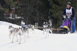 San Bernardino 2011